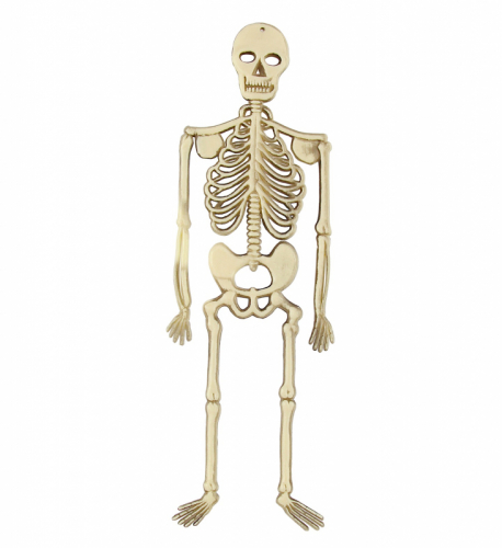 Skelett 32cm  i gruppen Hgtider / Halloween / Halloweendekoration hos PARTAJSHOP AB (8706K)