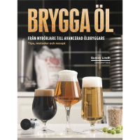 Brygga l nybrjare till avancerad