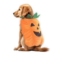 Hundens halloweenkostym