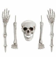Skelett dekoration